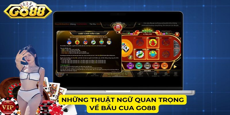 Những thuật ngữ quan trọng về Bầu cua Go88